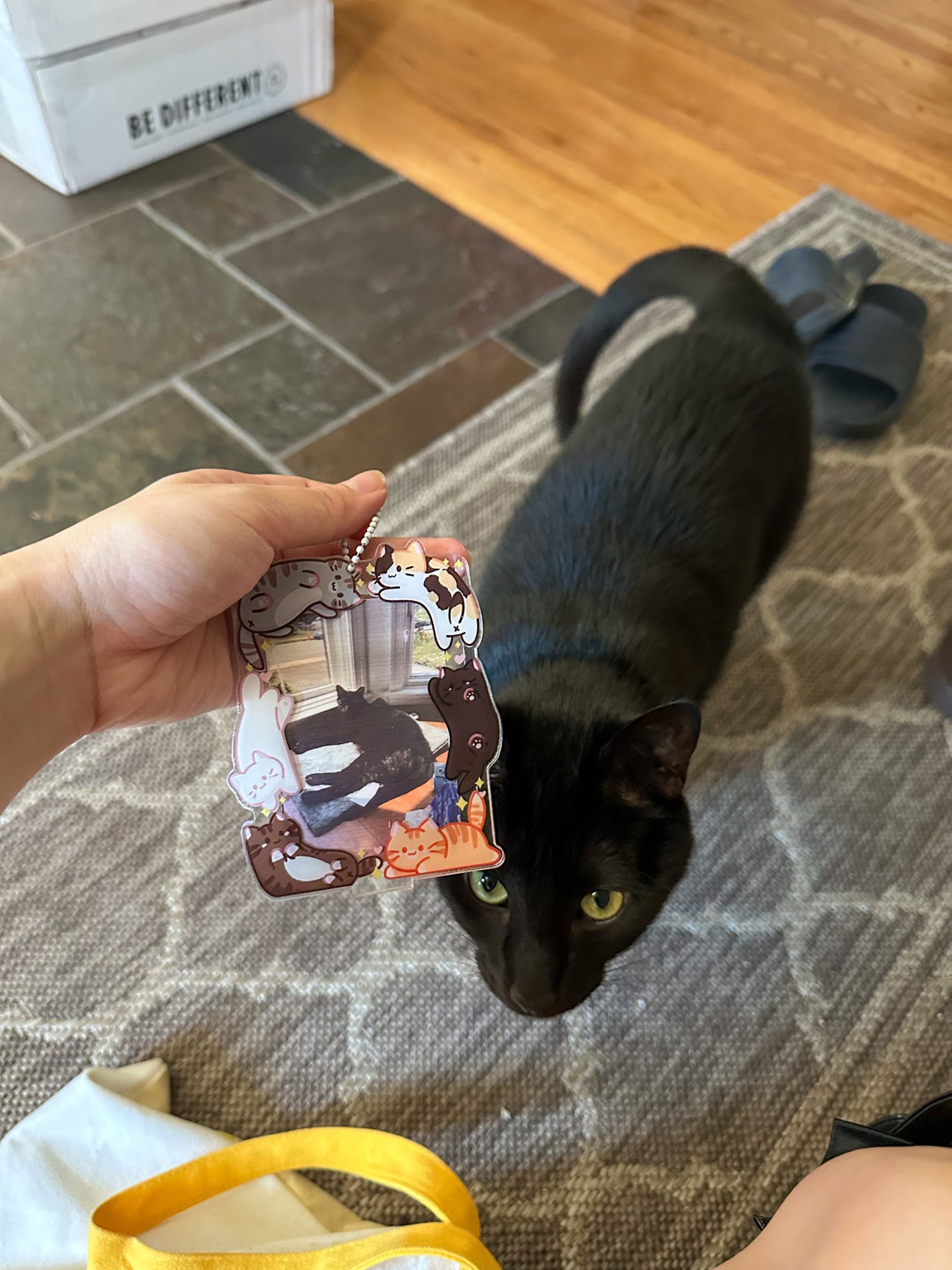 Bunny & Kitty Acyclic Photocard Holders Stand Keychain